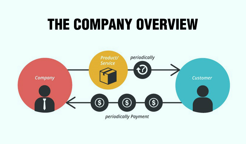The-company-overview