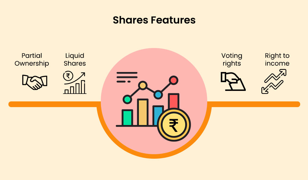 What-is-the-meaning-of-shares-and-their-features