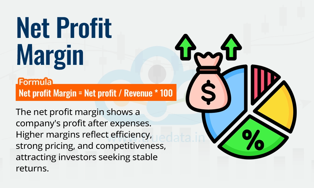 Net Profit Margin