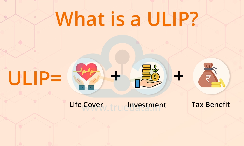 What is a ULIP