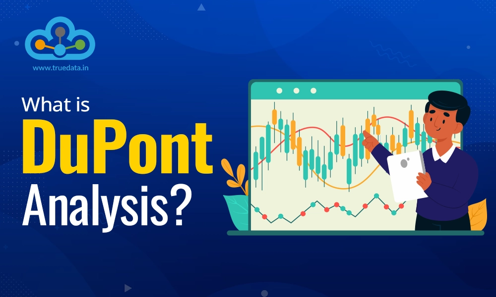 what-is-the-dupont-analysis